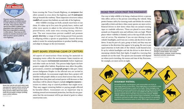 Wildlife Crossing: Giving Animals the Right-of-Way - Image 6