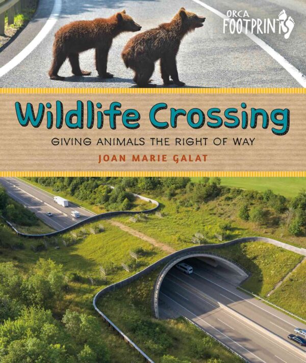 Wildlife Crossing: Giving Animals the Right-of-Way